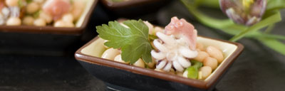 tapas und flying menü